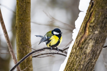 Similar image 22387811