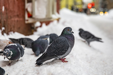 Similar image 22387812