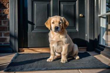 Similar image 22388547