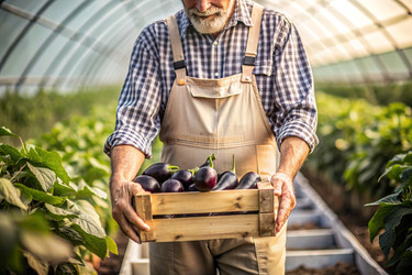 Similar image 22389323