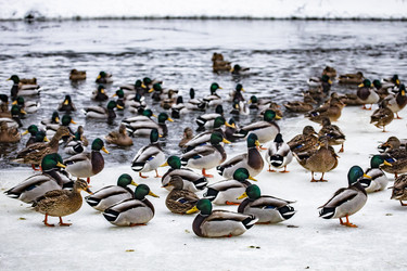 Similar image 22387815