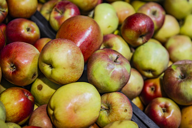 Similar image 22387819