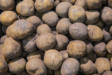 Similar image 22381584