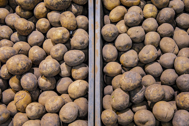 Similar image 22381585