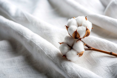 Similar image 22393456