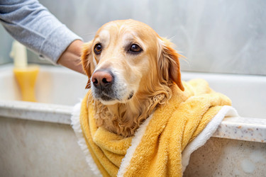 Similar image 22390344