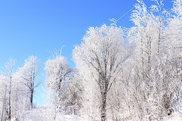 Similar image 22381478