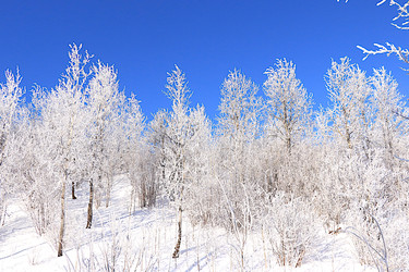 Similar image 22381482