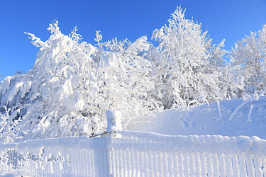 Similar image 22381483