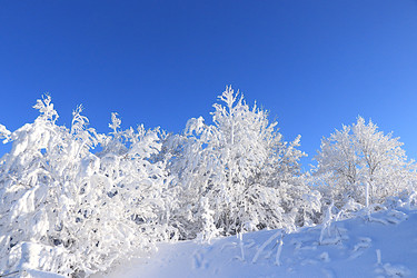 Similar image 22381484