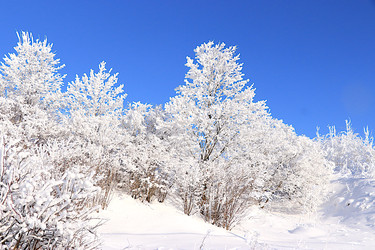 Similar image 22381496