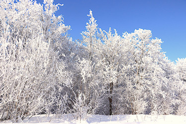 Similar image 22381497