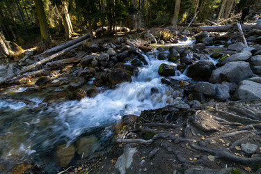 Similar image 22387218