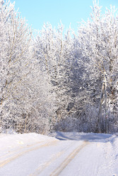 Similar image 22381499