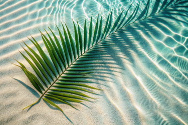 Similar image 22386031