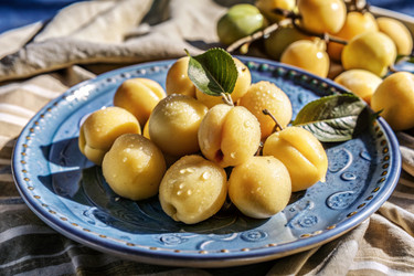 Similar image 22391091