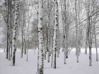 Similar image 22387731