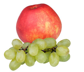 Similar image 22387737