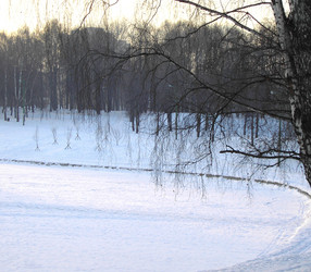 Similar image 22387739