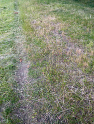 Similar image 22387749