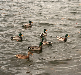 Similar image 22387754