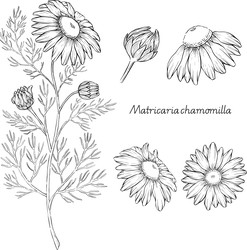 Similar image 22388978