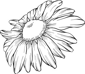 Similar image 22388981