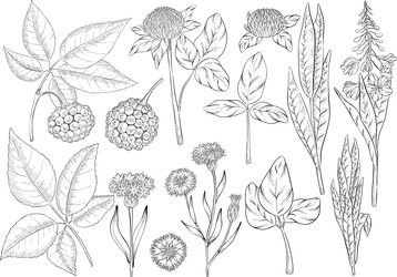 Similar image 22388985