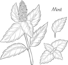 Similar image 22388987