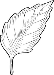 Similar image 22388988