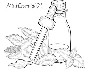 Similar image 22388989