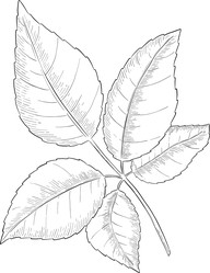 Similar image 22388991