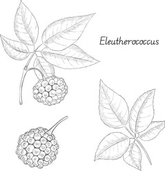 Similar image 22388996