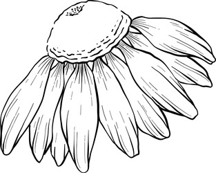 Similar image 22388997