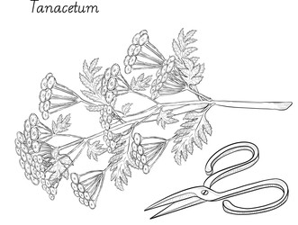 Similar image 22389003