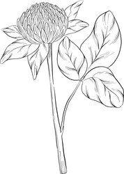 Similar image 22389006