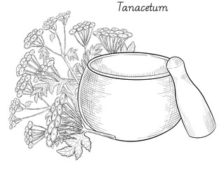 Similar image 22389007