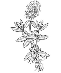 Similar image 22389008