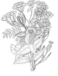 Similar image 22389009