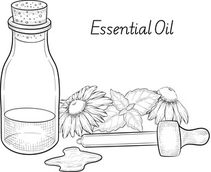 Similar image 22389015