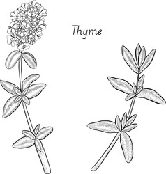 Similar image 22389017