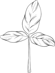 Similar image 22389019