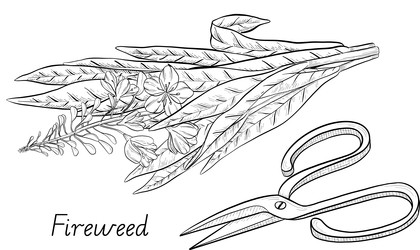 Similar image 22389022