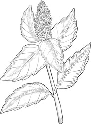 Similar image 22389023