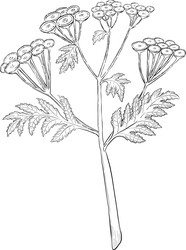 Similar image 22389024