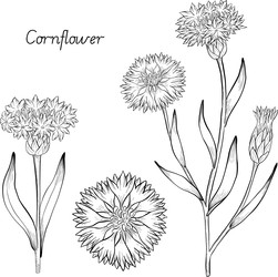 Similar image 22388948