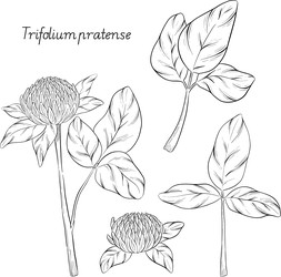 Similar image 22388952