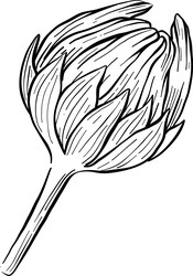 Similar image 22388953