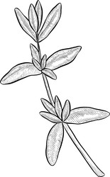 Similar image 22388954