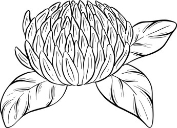 Similar image 22388955